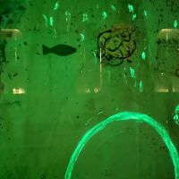 93EC01FF-6C7E-4C34-91E9-4F64EA168008_1_201_a