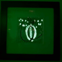 BB93C008-CF37-4A6B-8CDA-671ADF99F30C_1_201_a