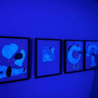 1809C1B6-62D5-4B35-98FC-5D46B200A28C_1_105_c