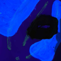 AC1C2795-2691-4254-8BD4-CE763D7FB284_1_105_c