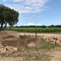 34446810_2217754618264943_5800215529222307840_o