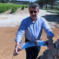 35281649_2235060543201017_1812930198430023680_o5b3f4a528a4c9