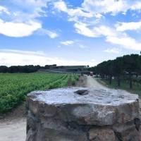 35303737_2235055619868176_8863463479781097472_o5b3f4a534d57e