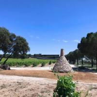 35303846_2235060759867662_9133510059618205696_o5b3f4a541f236