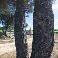 35329405_2235056579868080_5457840836832133120_o5b3f4a558437f