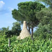 35406382_2235056626534742_3241342944195641344_o5b3f4a5c21a1d