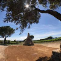 35643392_2242539005786504_4310527996873146368_o