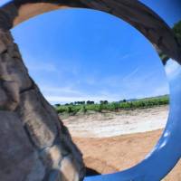 35671562_2242538462453225_293330795844599808_o