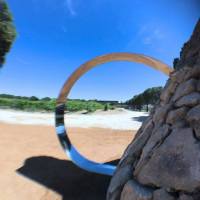 35748977_2242538445786560_1570240447144525824_o